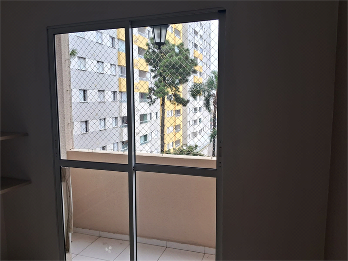 Foto REO1076609