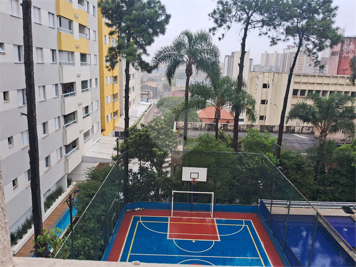 Foto REO1076609