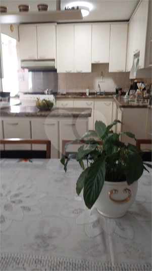 Foto REO1076616