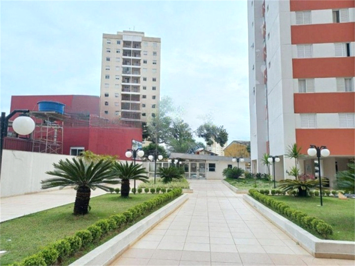 Foto REO1076618