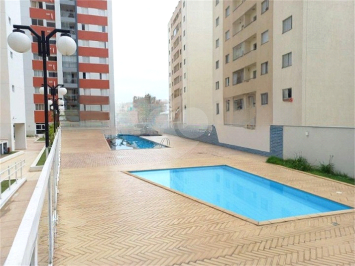 Foto REO1076618