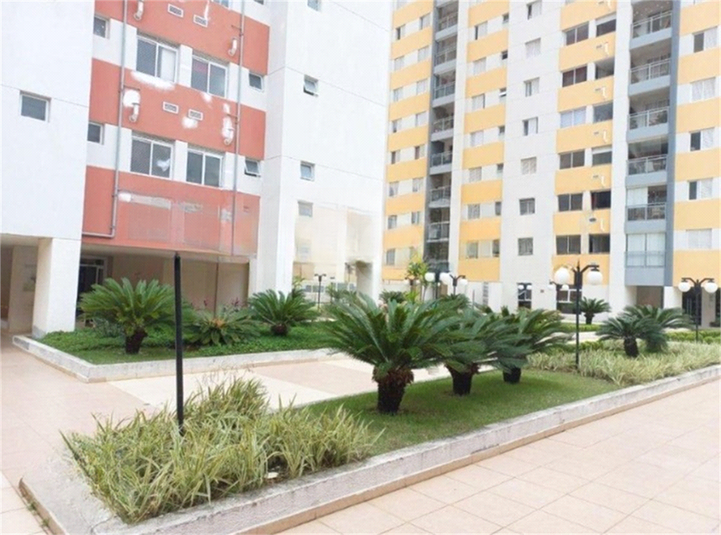 Foto REO1076618