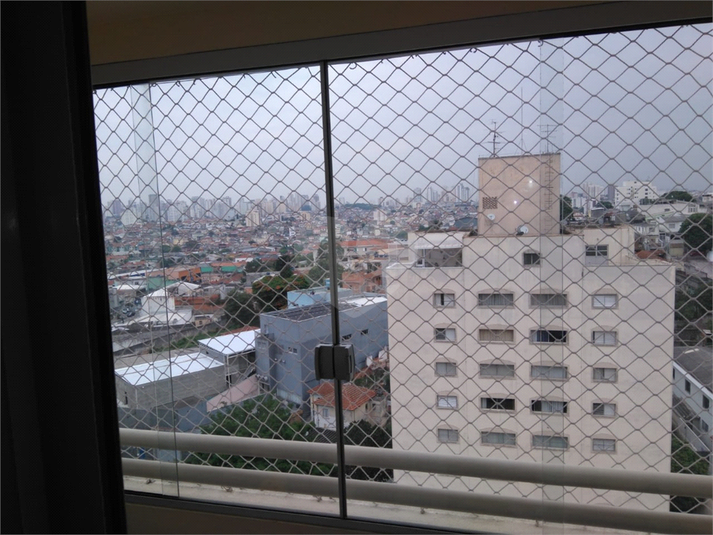 Foto REO1076619