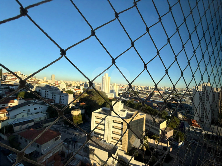 Foto REO1076625