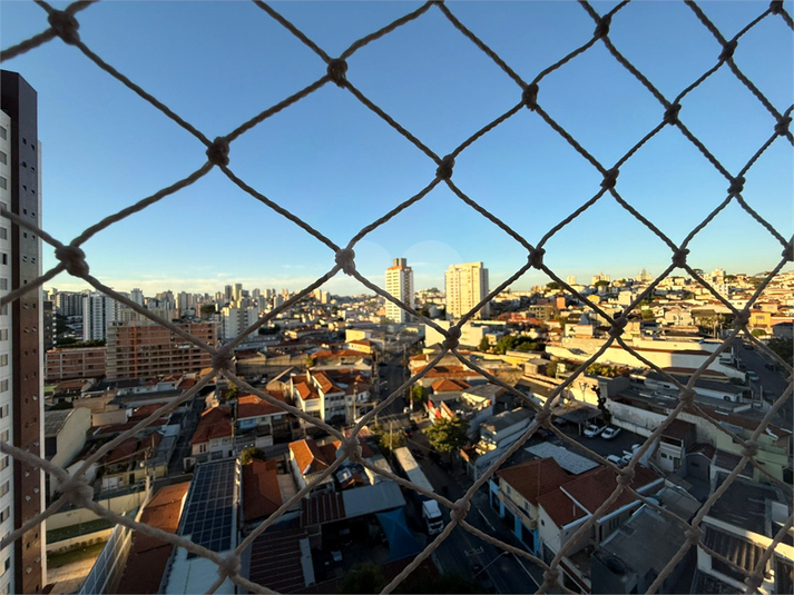 Foto REO1076625