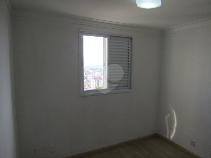 Foto REO1076662