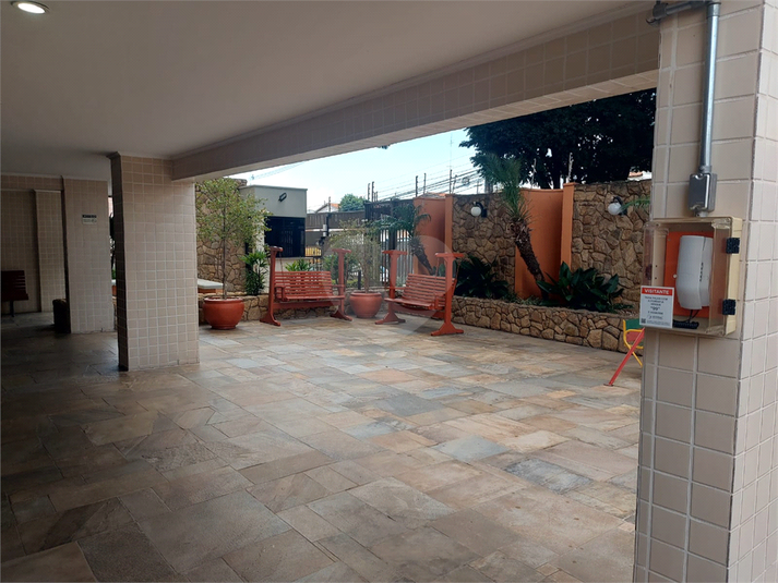 Foto REO1076665