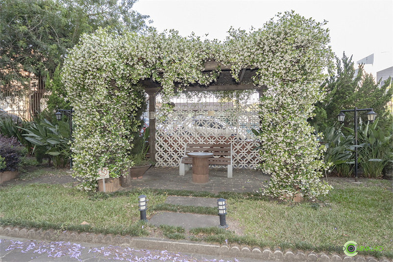 Foto REO1076681