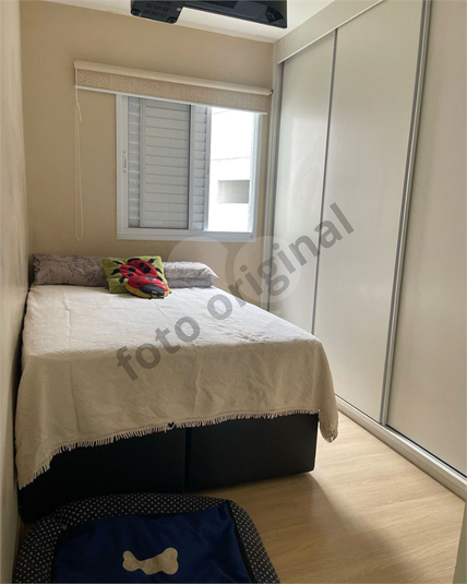 Foto REO1076689