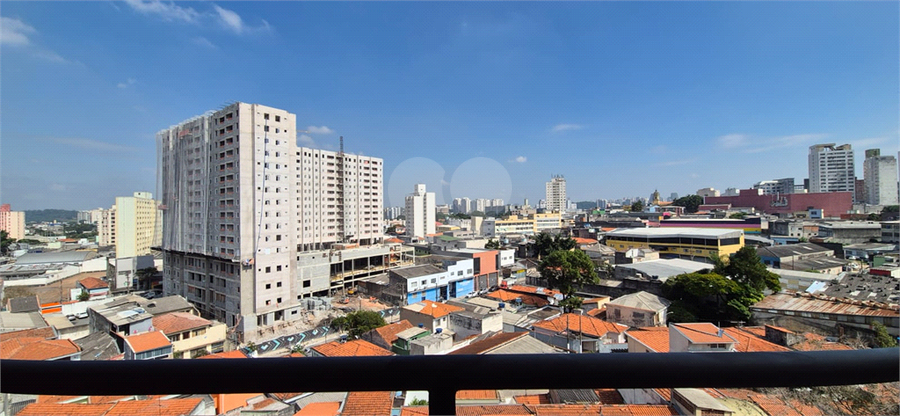Foto REO1076699