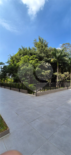 Foto REO1076699