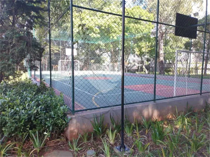 Foto REO1076699