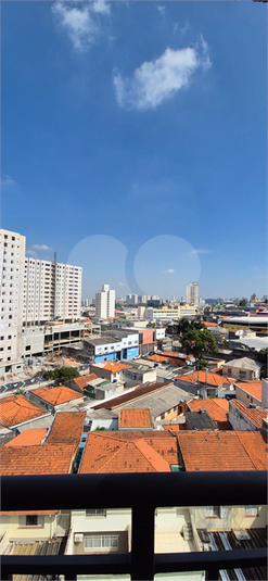 Foto REO1076699