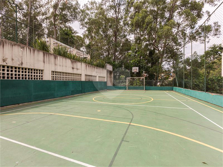 Foto REO1076702