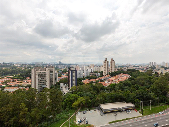 Foto REO1076702