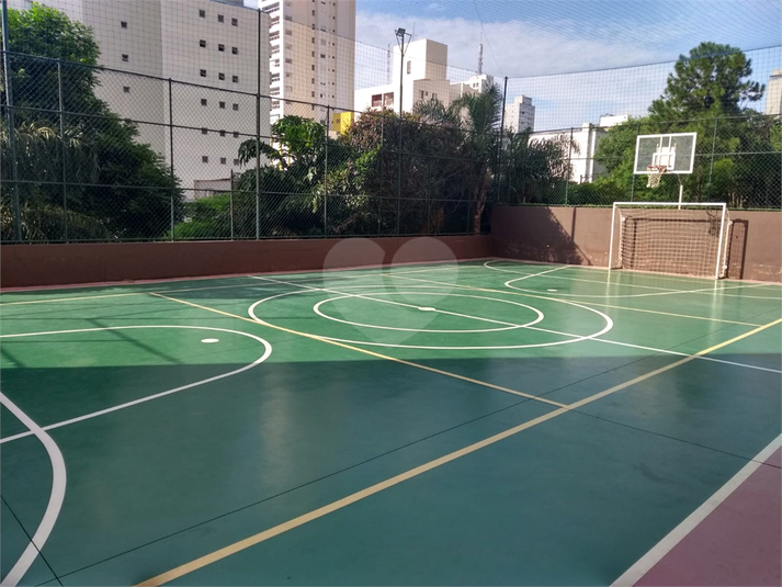 Foto REO1076712