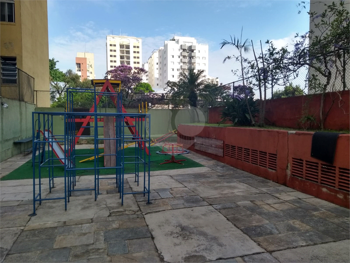 Foto REO1076712