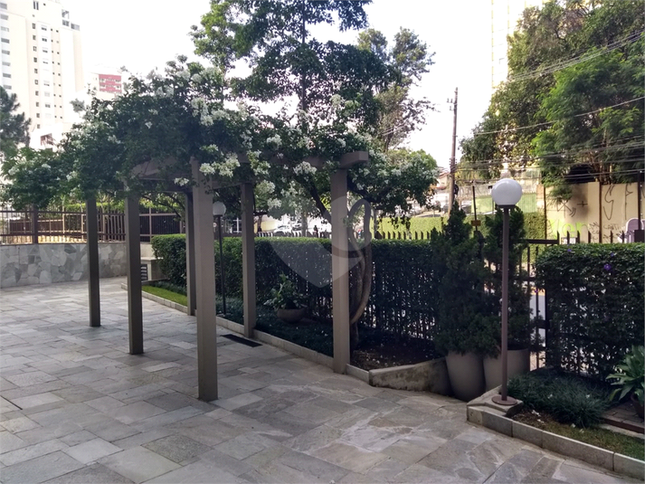 Foto REO1076712