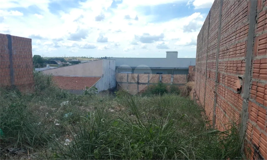 Foto REO1076714