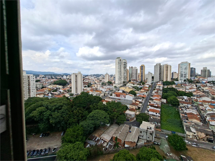 Foto REO1076723