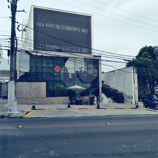 Foto REO1076723