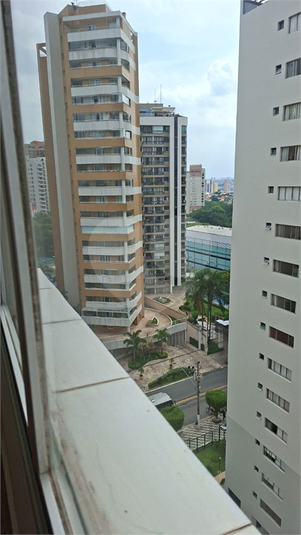 Foto REO1076723
