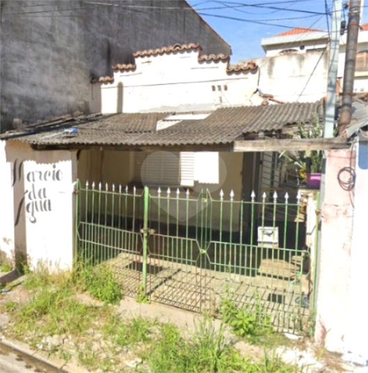 Foto REO1076738