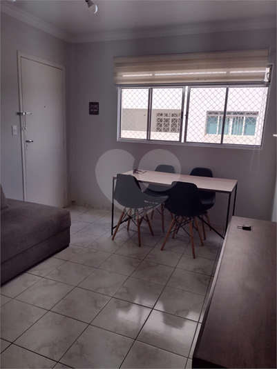 Foto REO1076747