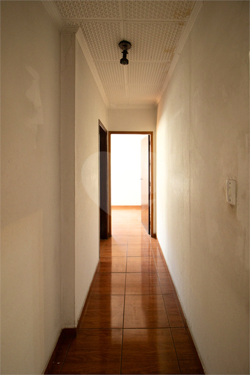 Foto REO1076756