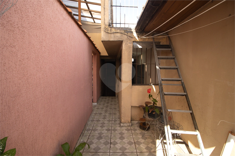 Foto REO1076756