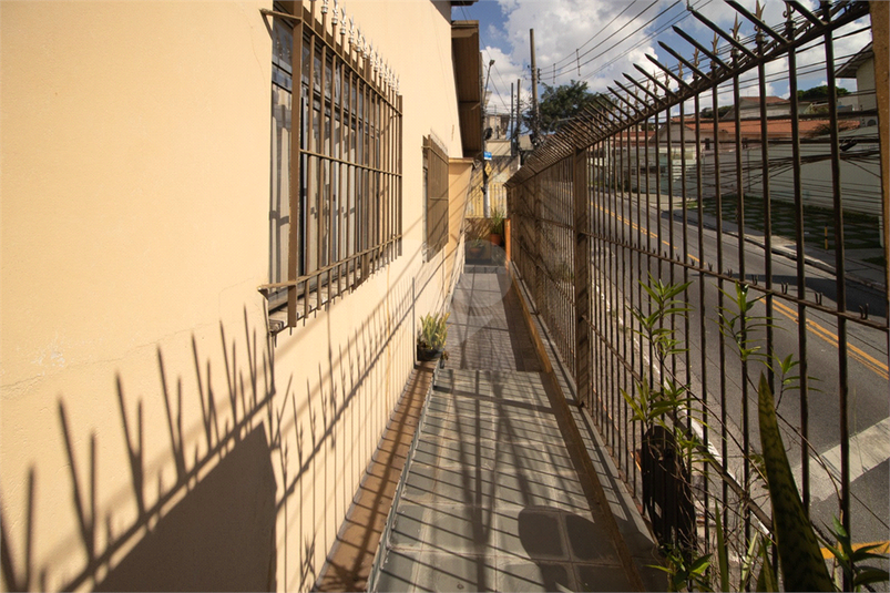 Foto REO1076756