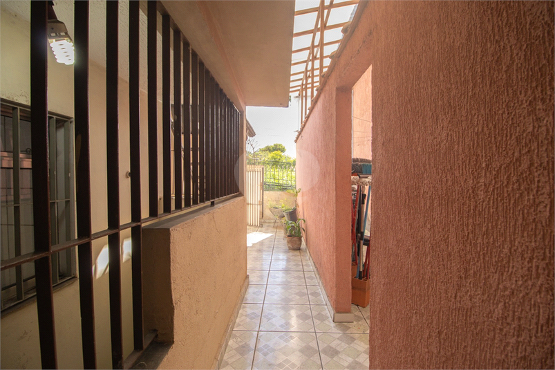 Foto REO1076756
