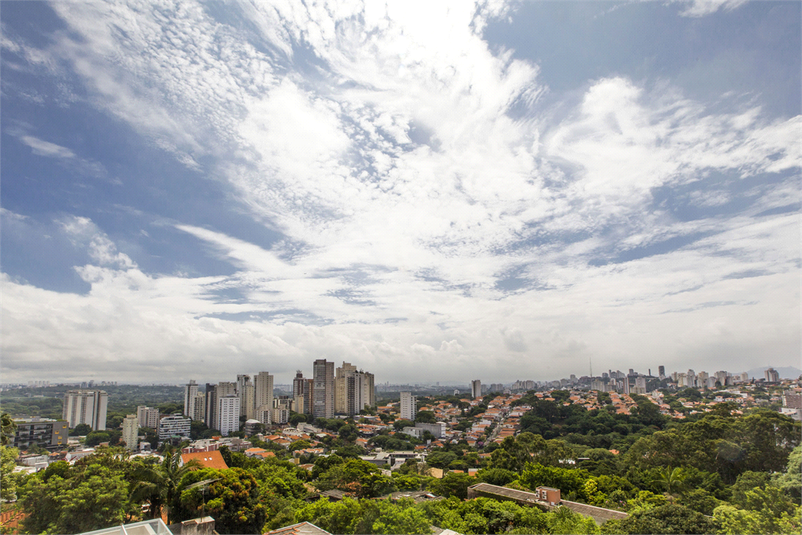 Foto REO1076776