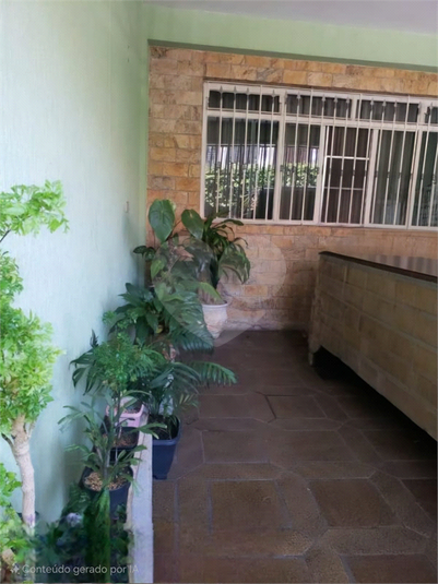 Foto REO1076787
