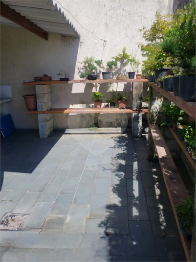 Foto REO1076787