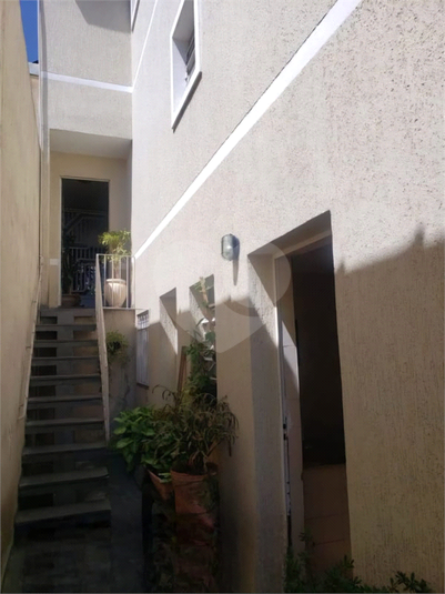 Foto REO1076787