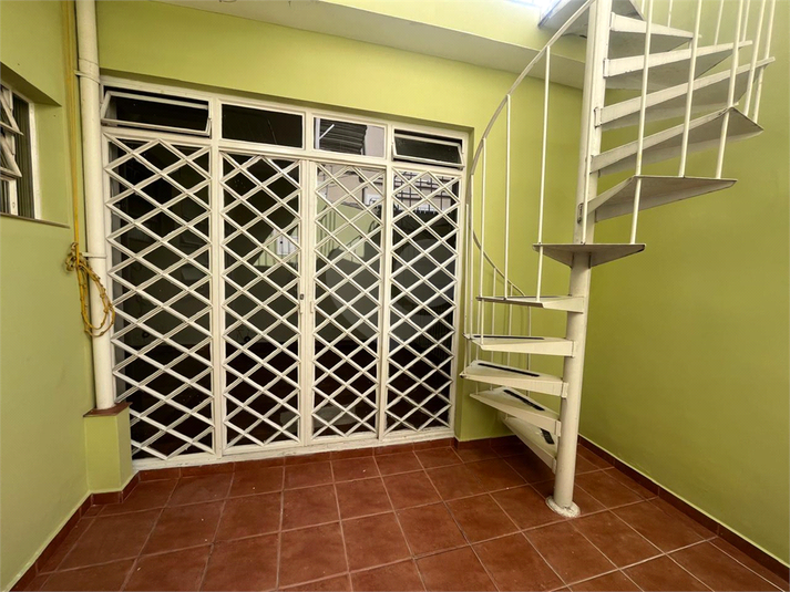 Foto REO1076791