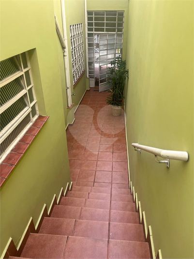 Foto REO1076791