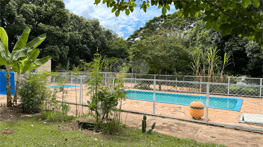 Foto REO1076794