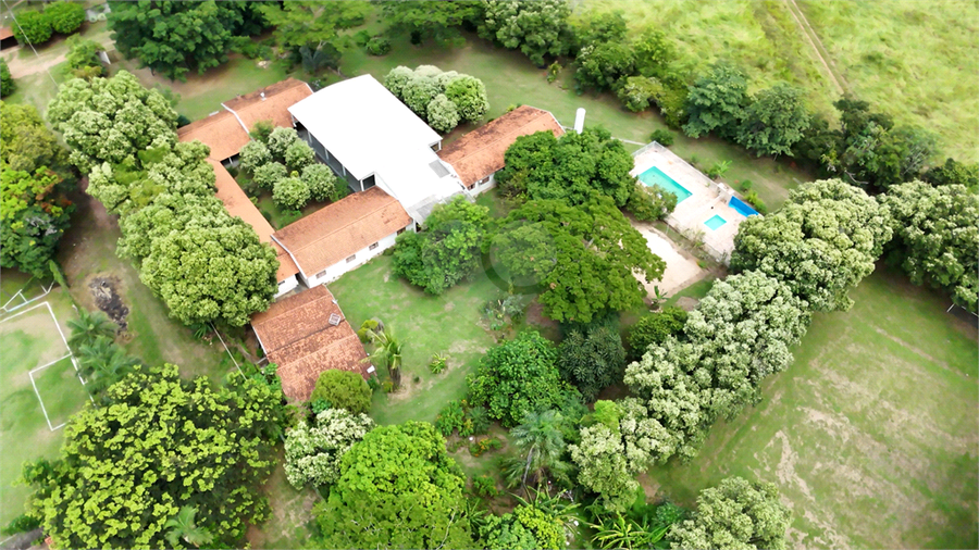 Foto REO1076794
