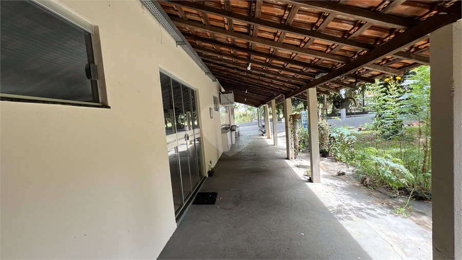 Foto REO1076794