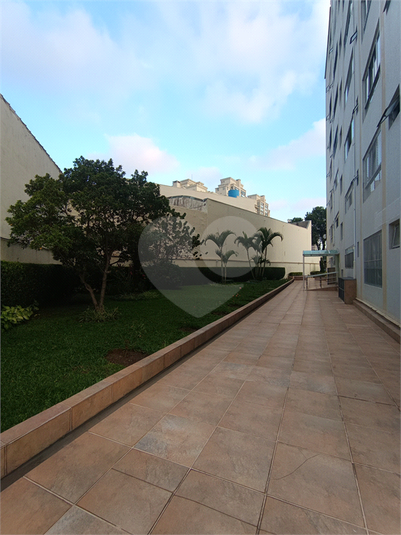 Foto REO1076804