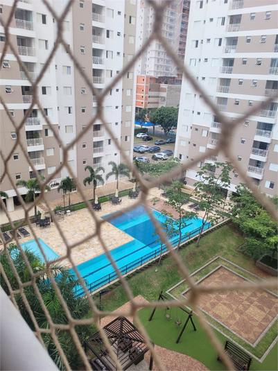 Foto REO1076848
