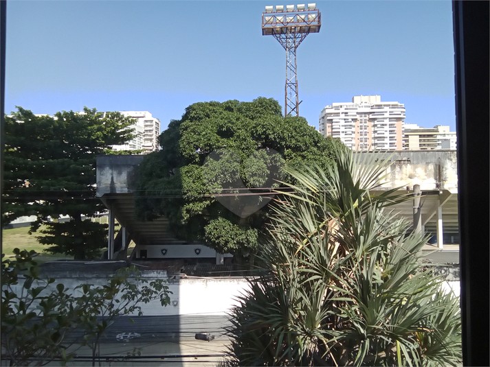 Foto REO1076856