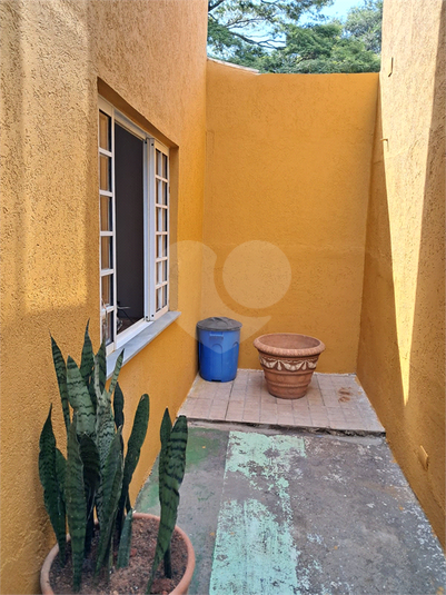 Foto REO1076858