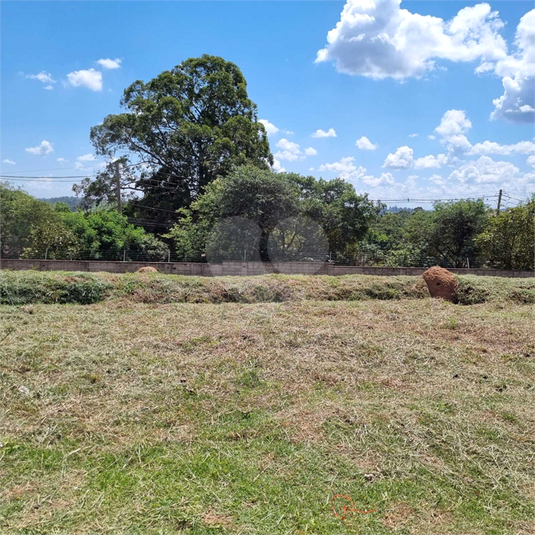 Foto REO1076861