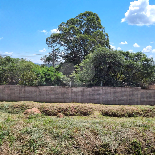 Foto REO1076861