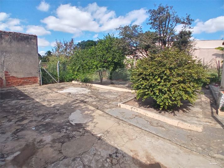 Foto REO1076869