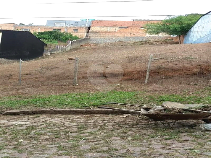Foto REO1076884