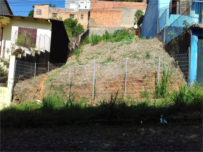 Foto REO1076884